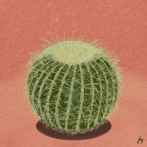 Digital watercolor drawing of a golden barrel cactus on a clay-colored background
