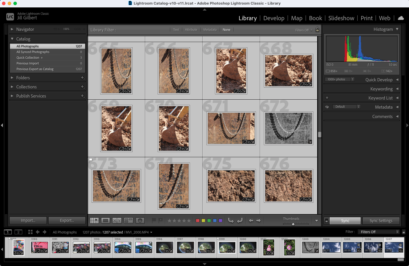 A less messy approach to using Adobe Lightroom Classic (LrC) Jill B