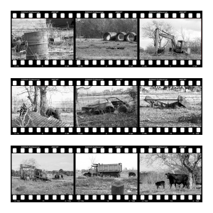 Old, rusty, and abandoned equipment on a property near Houston, Texas. Black and white photos by Jill B Gilbert displayed in a 35 mm filmstrip.