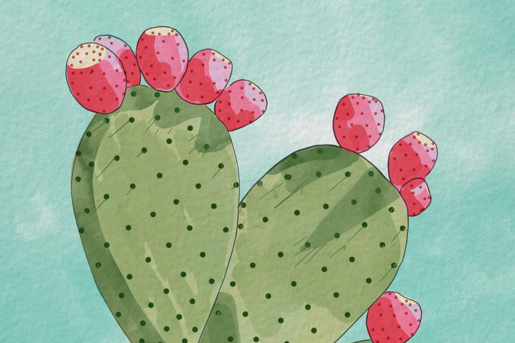 Watercolor Cactus drawing by Jill B Gilbert